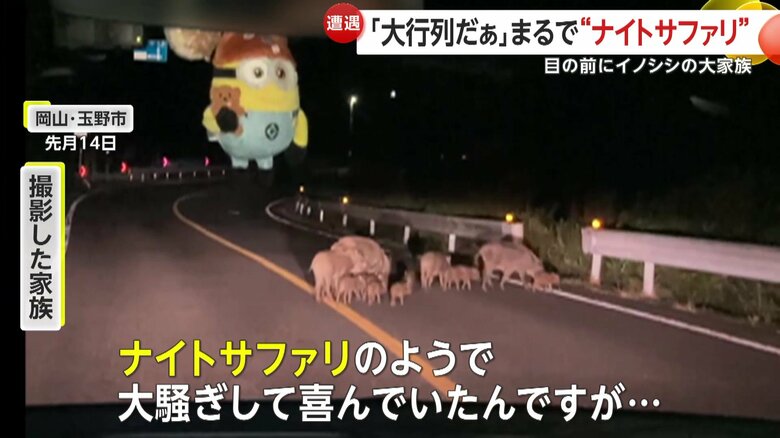 「ナイトサファリの様な感じで、大騒ぎして喜んでいた」という子どもたち