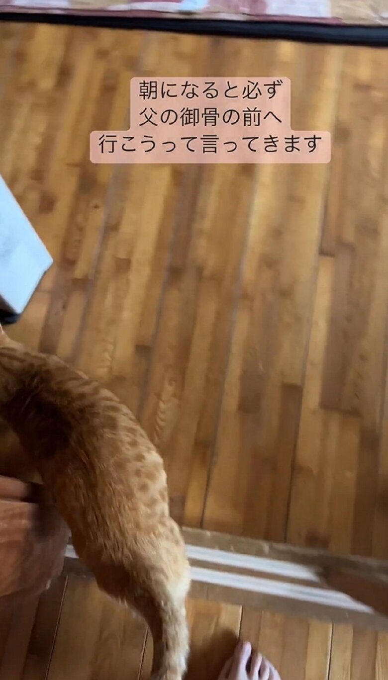 扉が開くとさらに進んでいく