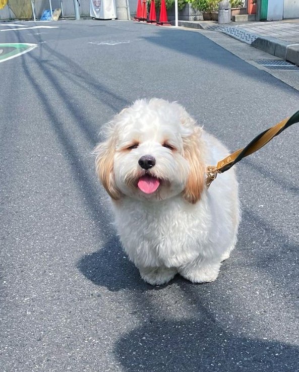 提供：宮原幸恵さん