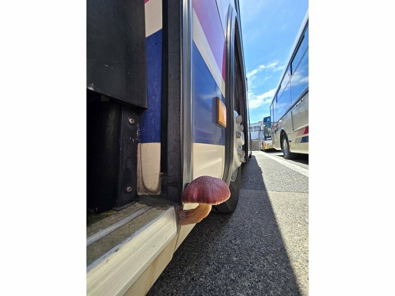 安全に支障はございません