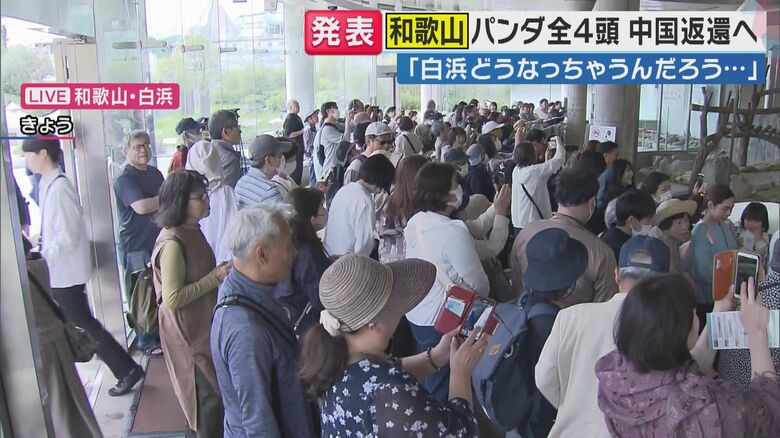 多くの人が集まるアドベンチャーワールドのパンダ飼育施設