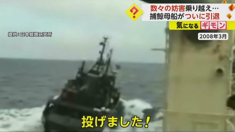 2008年3月、「日新丸」が反捕鯨団体「シー・シェパード」から妨害を受けた際の映像