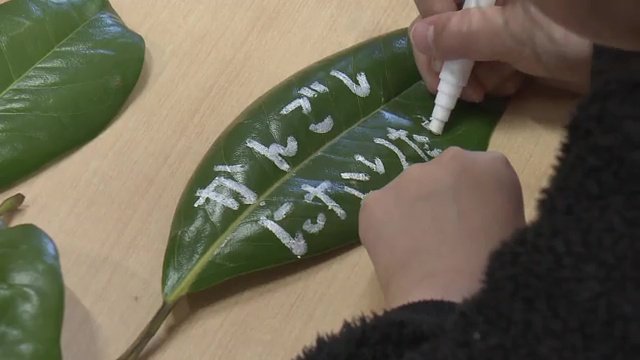 阪神・淡路大震災の被災地・兵庫県から届けられた木の葉