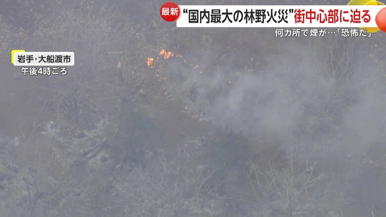 灰になっている木々