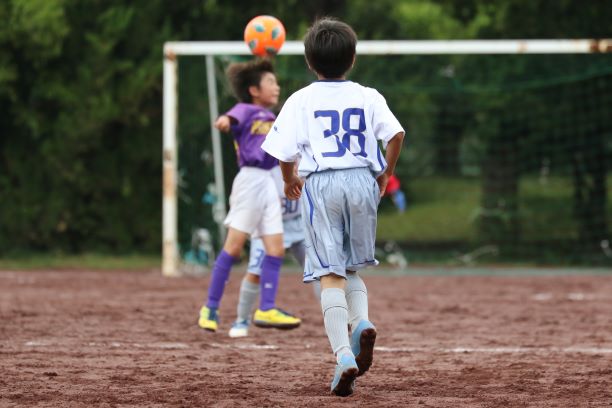 （画像はイメージ）