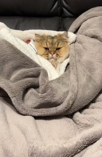 提供：ひなたさん