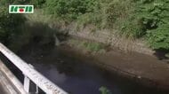 水質汚染か　飲み水として使用しないよう呼びかけ　三重川で有機フッ素化合物・PFASが指針値超え　長崎市で初
