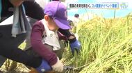 新米の価格下落　翻弄されるコメ農家の現状や食の魅力を伝えるイベント「日本のコメは世界一」広島・三原市