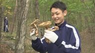 高校生がマツタケ狩り　2026年は豊作で生徒も実感　岩手県洋野町