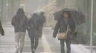 ≪12日の新潟県≫寒気の影響で荒れた空模様に  山沿いで積雪増加 平地では吹雪も 風雪・高波・落雷に注意
