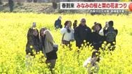 黄色とピンクの色鮮やかな光景　みなみの桜と菜の花まつり開幕　春の到来告げる　観光客「青空とピンクがすごい」