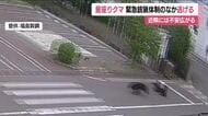 4人を襲い工場に居座った福島市のクマ　深夜に門を飛び越え逃走　麻酔薬が注入されなかったか　警戒続く