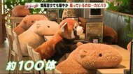 カピバラさんと相席いかが? 園のアイドルと一緒に空席を守ろう