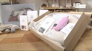 2月22日は「猫の日」 猫にとって安全・安心なグッズを<岩手・盛岡市>