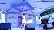 Maison book girlとsora tob sakanaに見る現代音楽と多様化するアイドル【TIF2018】