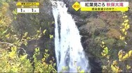 紅葉見頃 秋保大滝 「リバウンド防止徹底期間」が終了してから初めての祝日〈宮城〉