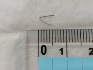 給食のコロッケ割ったら“金属片”…中学校の給食に異物 長さ1cmで針金の様な形 生徒が食べる前に気付く