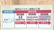 “日常生活”を取り戻すため ワクチン開発競争 安全性は?