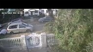 住宅街の大木 次々倒れる 車押しつぶし...一体なぜ?