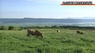 1年で最も昼間の時間が長い「夏至」(熊本)