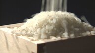 コメ農家の所得向上も大きな課題…“備蓄米”21万トンの放出決定に“コメどころ”の農業関係者は？価格低下に期待も…