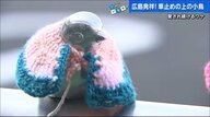 車止め柵の“小鳥”に手編みの服を園児らがプレゼント　寒さとともに全国に拡大【広島発】