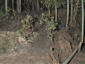 連続放火の可能性も…「山から火が見える」同市内の竹林や山林3か所で枯れ草等燃える 現場に火の気なし