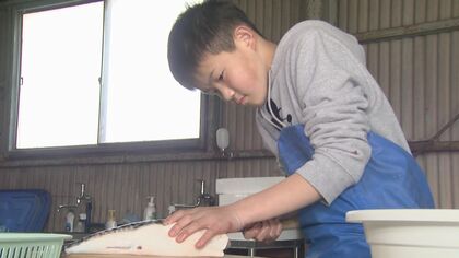 約200種類さばき“夢の魚”に到達…小学生が「ふぐ処理者試験」に合格 三重県内では初で「尾鷲の魚広めたい」