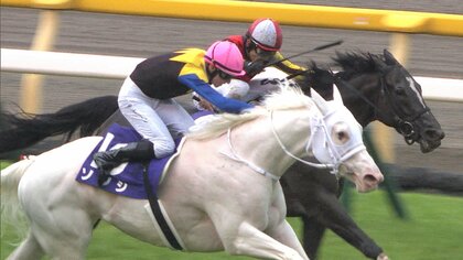 【ヴィクトリアマイル】武豊騎手「1600mでは日本を代表する馬」　マイルGI覇者ナミュールと新コンビで春の女王決定戦に挑む