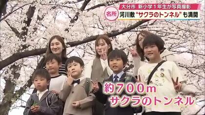 県内の名所　続々と満開の便り　約700ｍの“桜のトンネル”には多くの人が写真撮影　大分