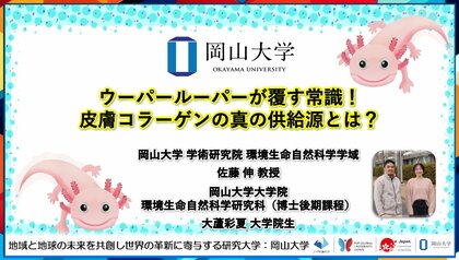 【岡山大学】ウーパールーパーが覆す常識!皮膚コラーゲンの真の供給源とは?