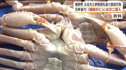 ふるさと納税「越前がに」にGI法違反　脱皮したての「水ガニ」混ぜ不正表示　福井・越前町がカニ関連商品の扱い中止…影響6億円か