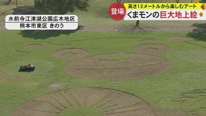モデルのくまモンも太鼓判　熊本・江津湖に出現した巨大地上絵　くまもと花博2023に合わせ肥後菊も