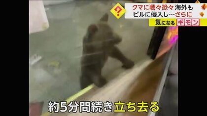 戦々恐々…街の中心部でクマ出現　ビルに侵入し人に向かって“突進”　地下道では別の3頭を目撃　トルコ