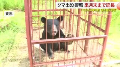 過去最多 クマ目撃が１０月だけで５１３件　出没警報を１１月末まで延長　民家ではクマが網戸に寄りかかる