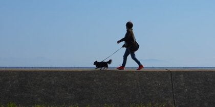 心も体もリフレッシュ!散歩について大調査!【1000人アンケート】