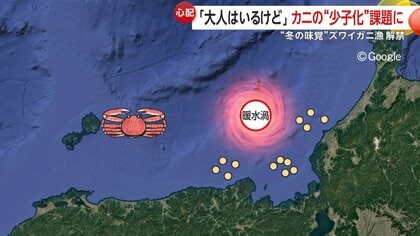 ズワイガニにも少子化の波…漁解禁、初日の水揚げ量は「良かった」一方