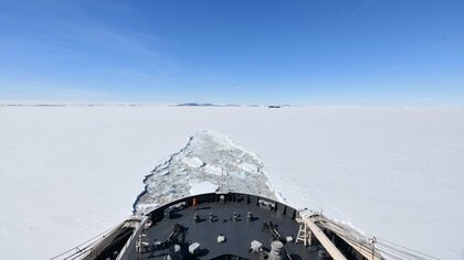 最先端科学で南極観測船「しらせ」を守れ 東大研究チームが安全航行に