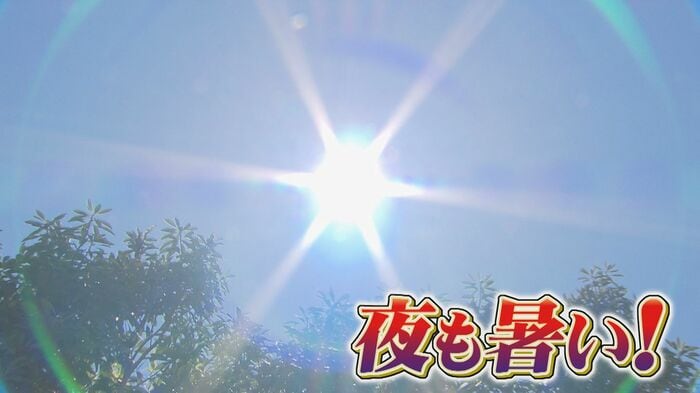 連日続く災害級の猛暑