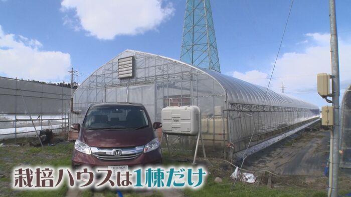若杉さんの栽培ハウスは1棟