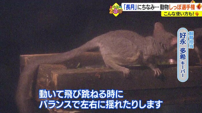 飛び跳ねるときにバランスをとる