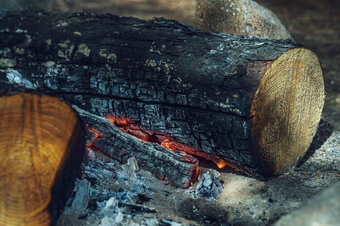 しっかり燃え始めた丸太。炎は見えないが表面から内部へと確実に燃焼が進んでいく（『焚き火の教科書』より）