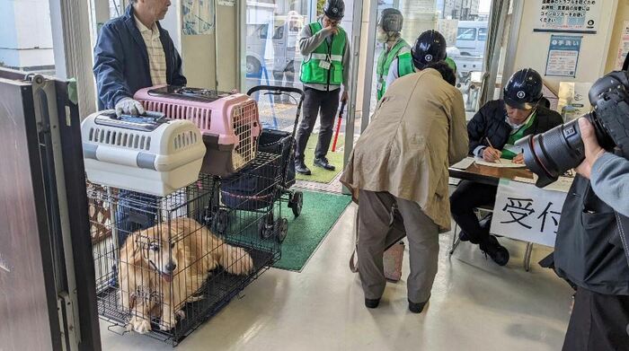 松本市提供・同行避難訓練の様子