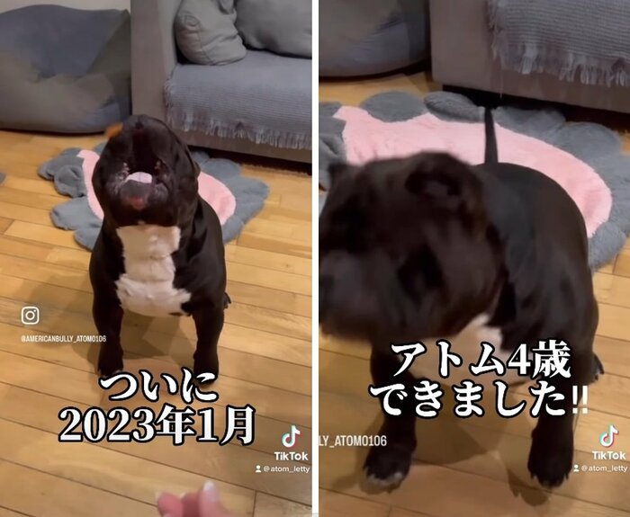 タイミングばっちり!