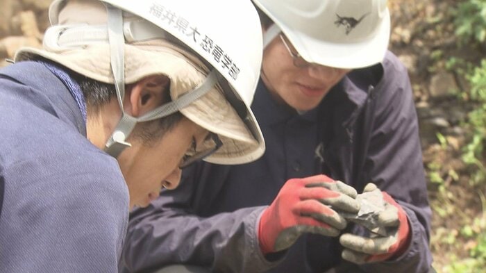 恐竜学部の学生も調査に参加