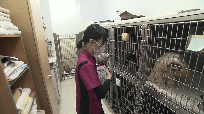 ペットホテルが併設