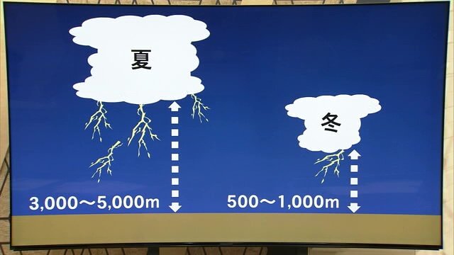 夏と冬の雷の違いは”背の高さ”