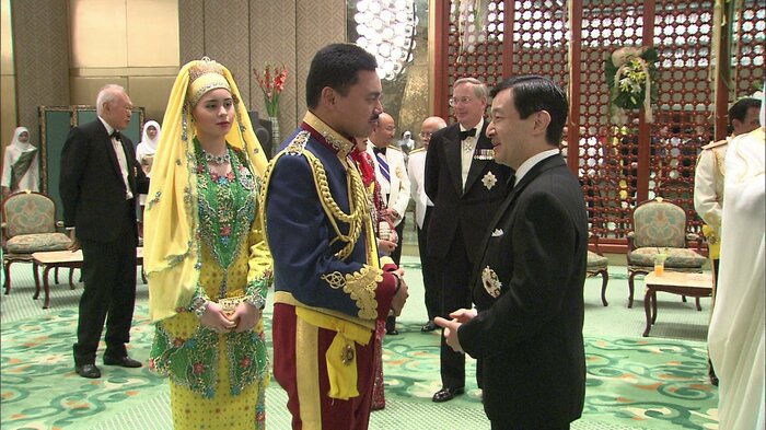 ビラ皇太子夫妻にお祝いを伝えられる陛下