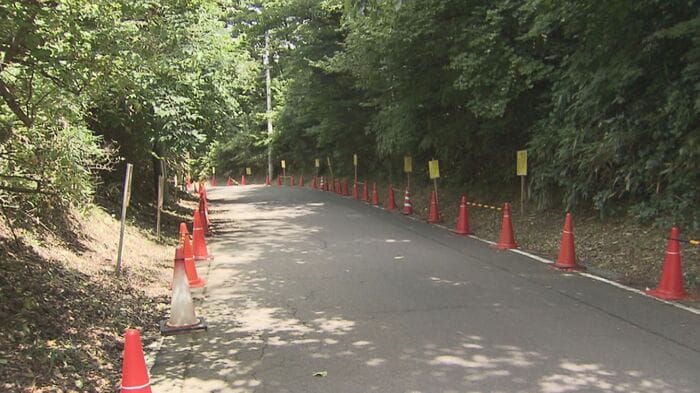 河原近くの道路に並べられた赤いコーン