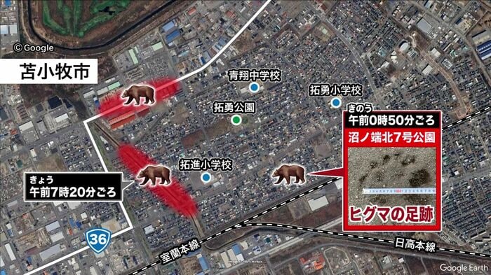 苫小牧市では狭い範囲で目撃が相次ぐ
